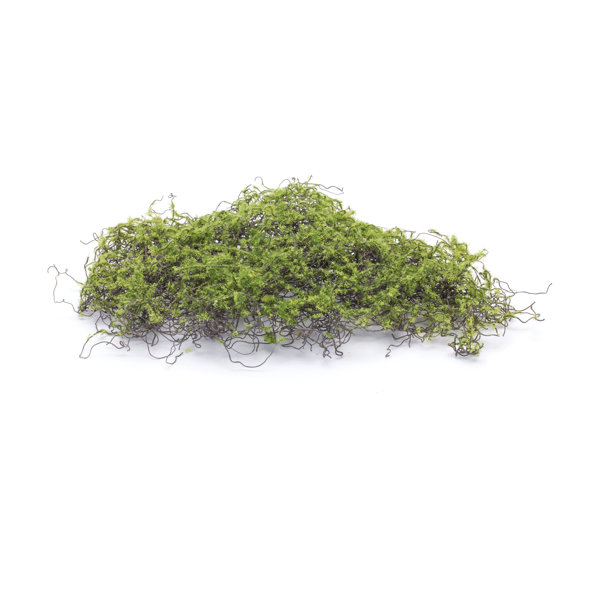 Freeport Park® 2.25'' Faux Moss Plant Wayfair